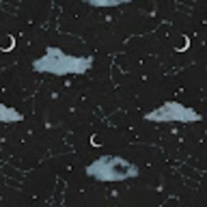 Meet your Posher, Savannah